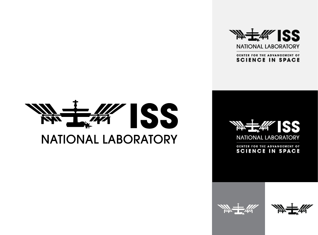ISSNL Logo Variations