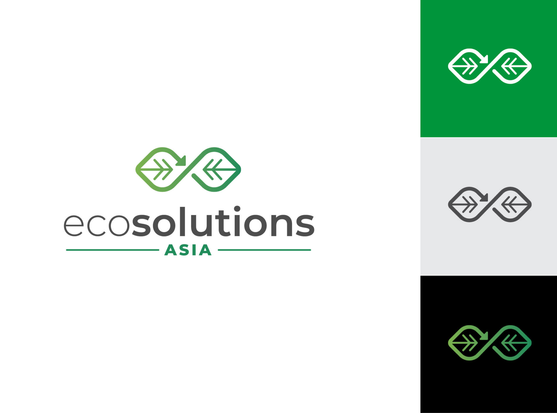 EcoSolutions Asia Logo Variations