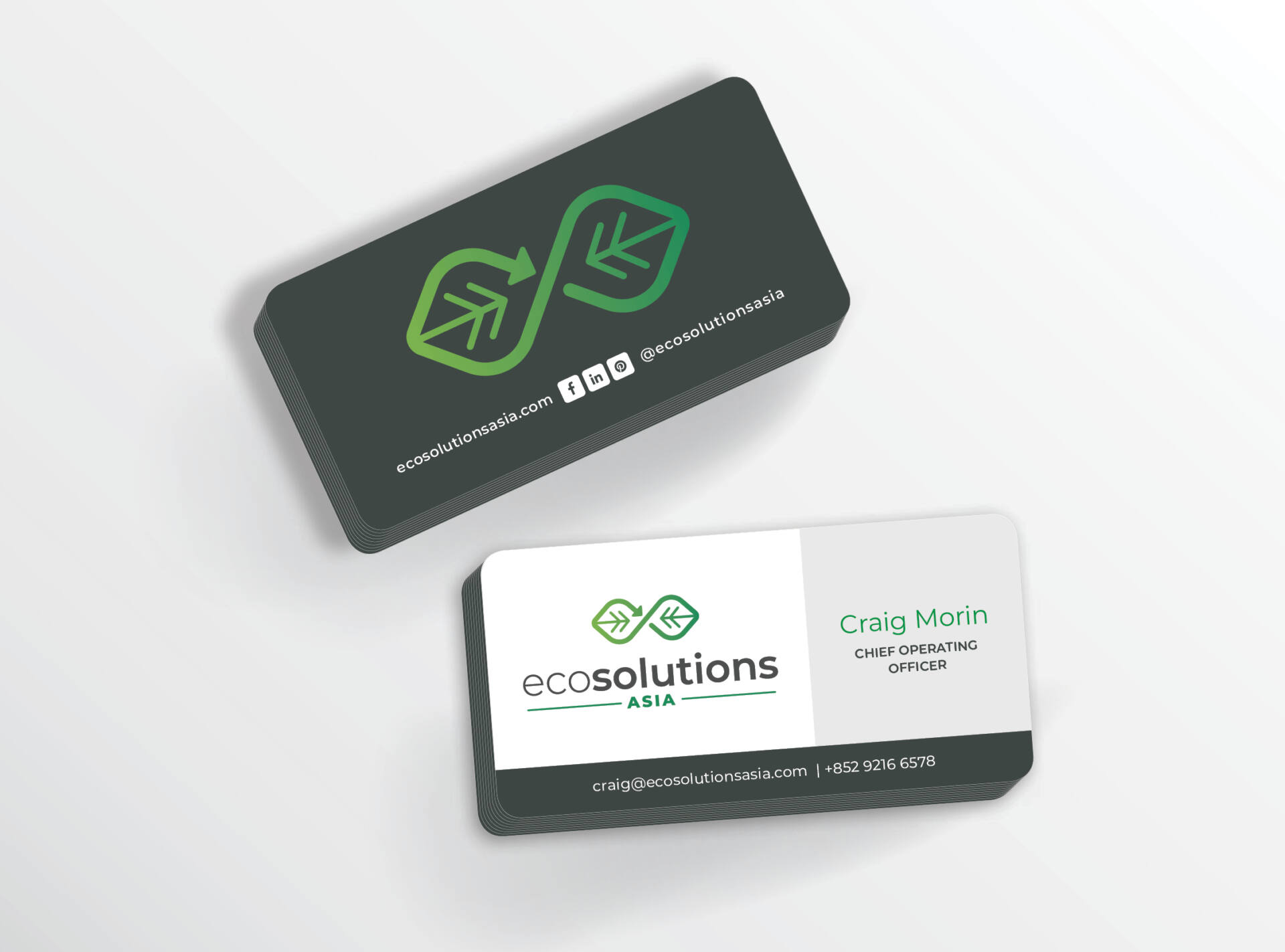 EcoSolutions Asia Branded Collateral
