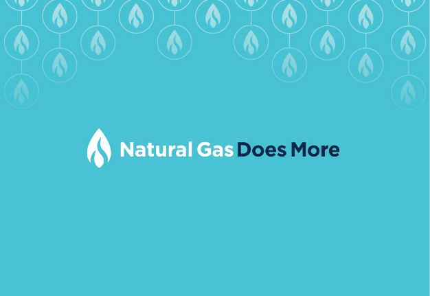 brand-ngdm Branding
